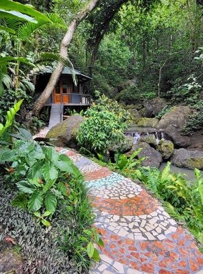 Rainforest Spa - Koro Sun Resort 2 Medium